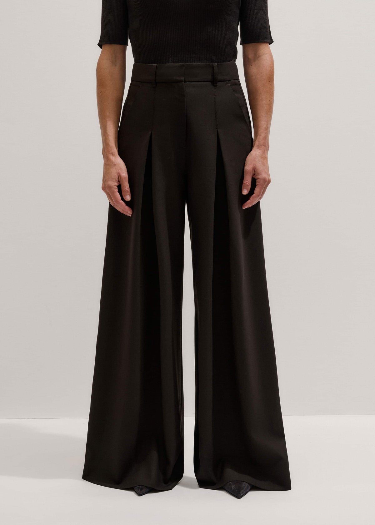 Brown Wool Ultimate Pleat-Front Wide-Leg Pant | ME+EM